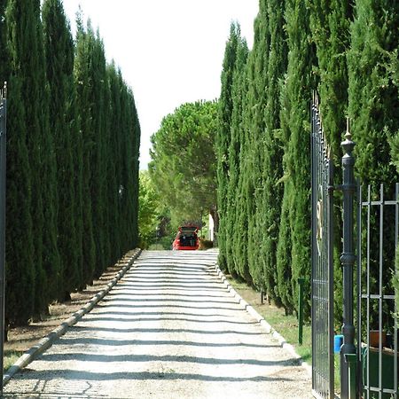 מוטספרטולי Villa Panconesi מראה חיצוני תמונה