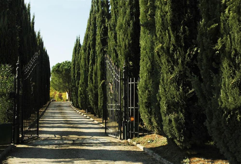 מוטספרטולי Villa Panconesi מראה חיצוני תמונה